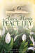 Peace Lily (The Katherine Wheel, #2) by Alex Martin