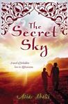 The Secret Sky cover