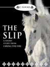 The Slip cover