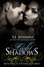 Light Shadows (Dark Light, #3) by S.L. Jennings