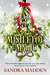 Mistletoe & Magic by Sandra Madden