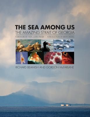 the-sea-among-us-the-amazing-strait-of-georgia
