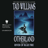 River of Blue Fire (Otherland, #2)