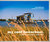 My Cool Houseboat An Inspirational Guide to Stylish Houseboats by Jane Field-Lewis