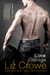 Love Garage (Love Brothers, #1) by Liz Crowe