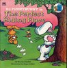 P.J. Funnybunny in the Perfect Hiding Place cover