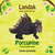 Landak (Porcupine) by Ummu Shahzeb