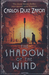 The Shadow of the Wind (The Cemetery of Forgotten Books, #1) by Carlos Ruiz Zafón