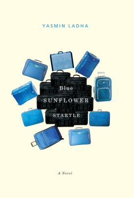 blue-sunflower-startle