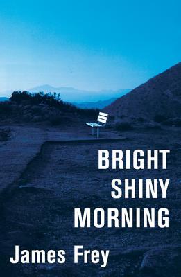Cover of Bright Shiny Morning