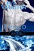 Romeo (Blood Brothers, #3) by Eve Vaughn