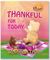 Thankful For Today Little Bear Series (Volume 1) by Roitman Trillo