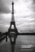 The Eiffel Tower by Lucien Hervé
