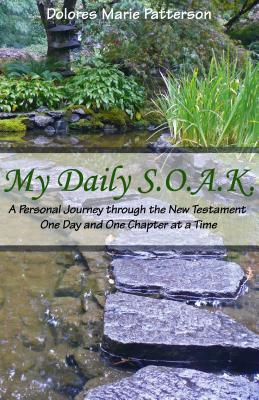 my-daily-s-o-a-k-a-personal-journey-through-the-new-testament-one-day-and-one-chapter-at-a-time