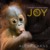 Joy A Celebration of the Animal Kingdom by Alex Cearns