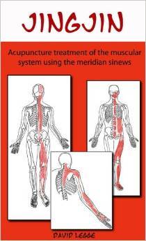 jing-jin-acupuncture-treatment-of-the-muscular-system-using-the-meridian-sinews
