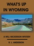 What's Up In Wyoming (Will Nickerson Mysteries #5) by R.L. Anderson