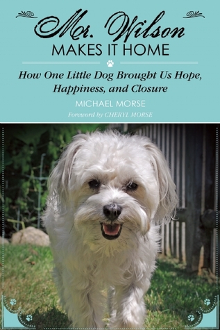mr-wilson-makes-it-home-how-one-little-dog-brought-us-hope-happiness-and-closure
