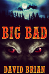 Big Bad cover