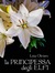 La Principessa degli Elfi by Licia Oliviero