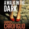 A Walk in the Dark cover
