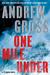 One Mile Under (Ty Hauck, #4) by Andrew Gross