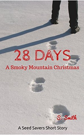 28-days-a-smoky-mountain-christmas