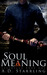 Soul Meaning (Seventeen #1) by A.D. Starrling