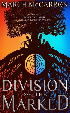 division-of-the-marked