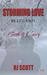 Seth and Casey (Storming Love, Blizzard #3) by R.J. Scott