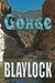 The Gorge by Aaron Blaylock