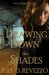 Drawing Down the Shades (Antique Magic #2) by Juli D. Revezzo