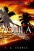 Into the Light (Aquila #2) by T.L. Searle