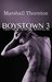 Two Nick Nowak Novellas (Boystown #3) by Marshall Thornton