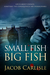 Small Fish Big Fish by Jacob Carlisle