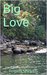 Big Love by Regina Shiderly
