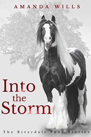 into-the-storm