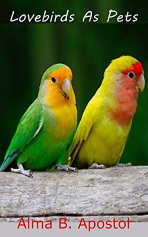 lovebirds as pets how i raised cared trained and tamed my lovebirds chicks to a very mature lovebirds as pets how i raised cared trained and tamed my lovebirds chicks to a very mature