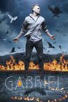 Gabriel (The Styclar Saga, #2)