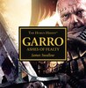 Garro: Ashes of Fealty cover