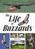 The Life of Buzzards by Peter Dare