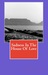 SADNESS IN THE HOUSE OF LOVE by Farouk Asvat