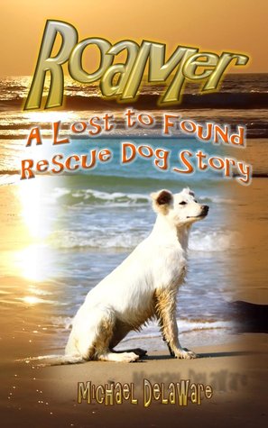 roamer-a-lost-to-found-rescue-dog-story