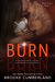 Burn (Spark, #2) by Brooke Cumberland