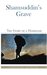 Shamsuddin's Grave by Paromita Goswami