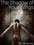 The Shadow of Your Wings by Tim Bairstow