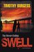 The Never-Ending Swell A Liam Sol Mystery by Timothy Burgess