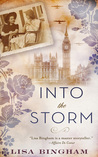 Into the Storm cover