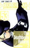 Bleach―ブリーチ― 53 [Burīchi 53] (Bleach, #53)