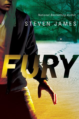 Fury (Blur Trilogy #2)